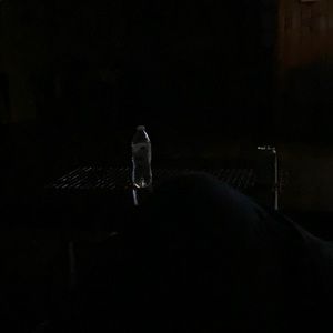 Meet your Posher, Joy